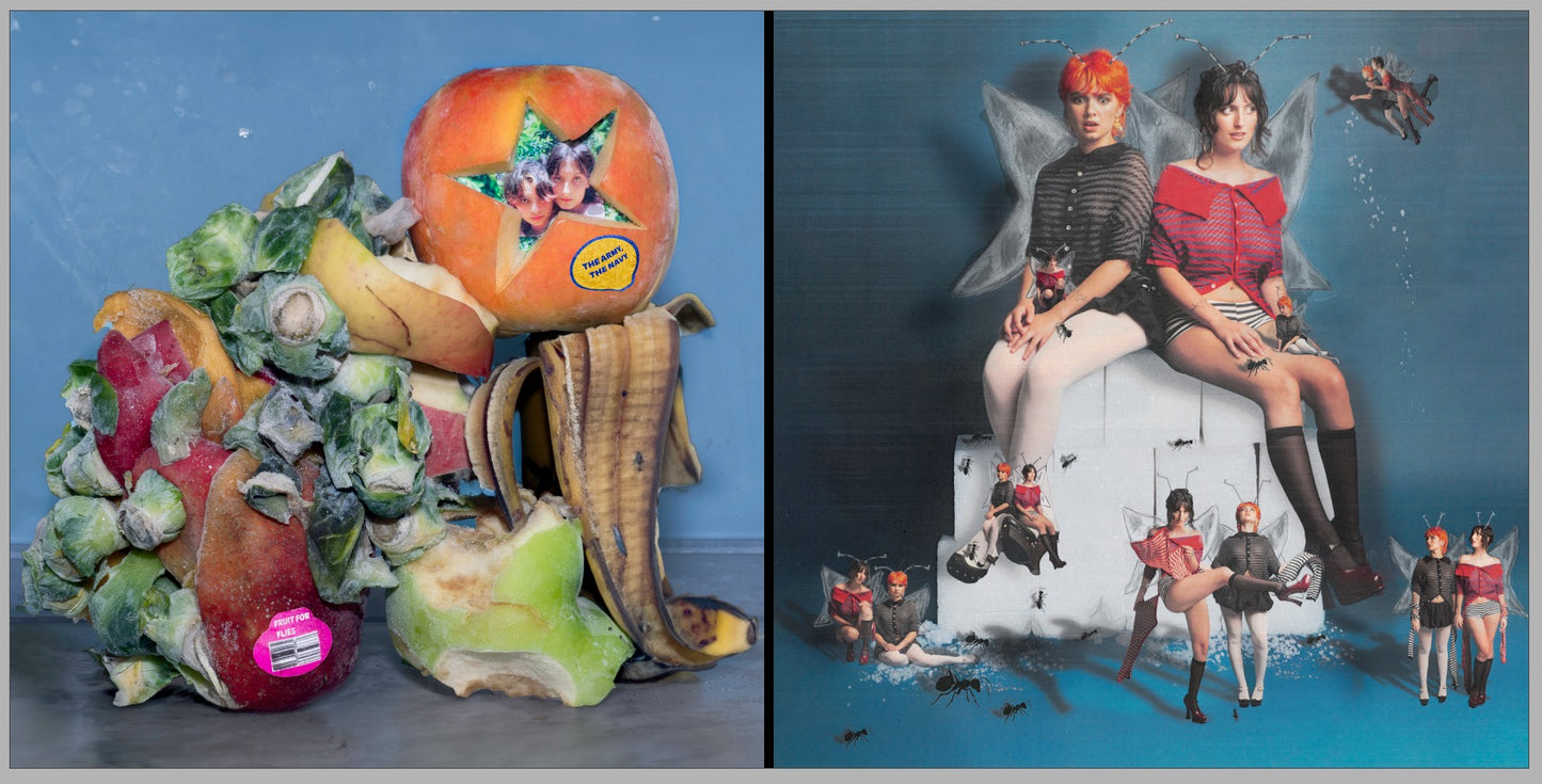 The Army, The Navy - Sugar for Bugs / Fruit for Flies